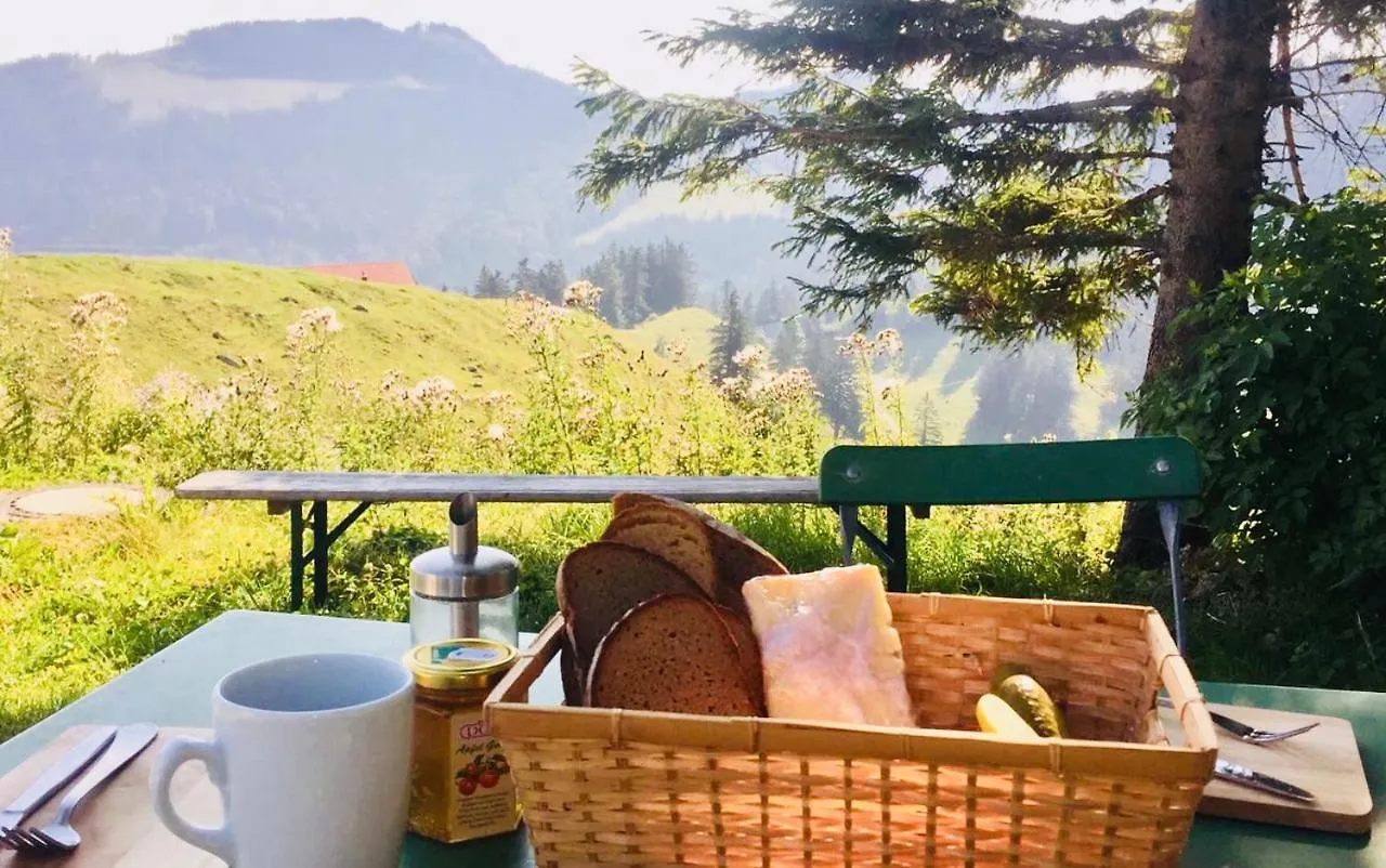 Hotel Bruendling-Alm Berggasthof Auf 1167M Auf Dem Hochfelln Bergen  Germany
